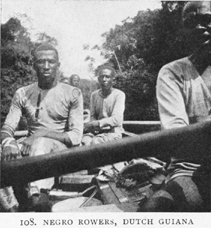 Negro Rowers, Guinea (image)