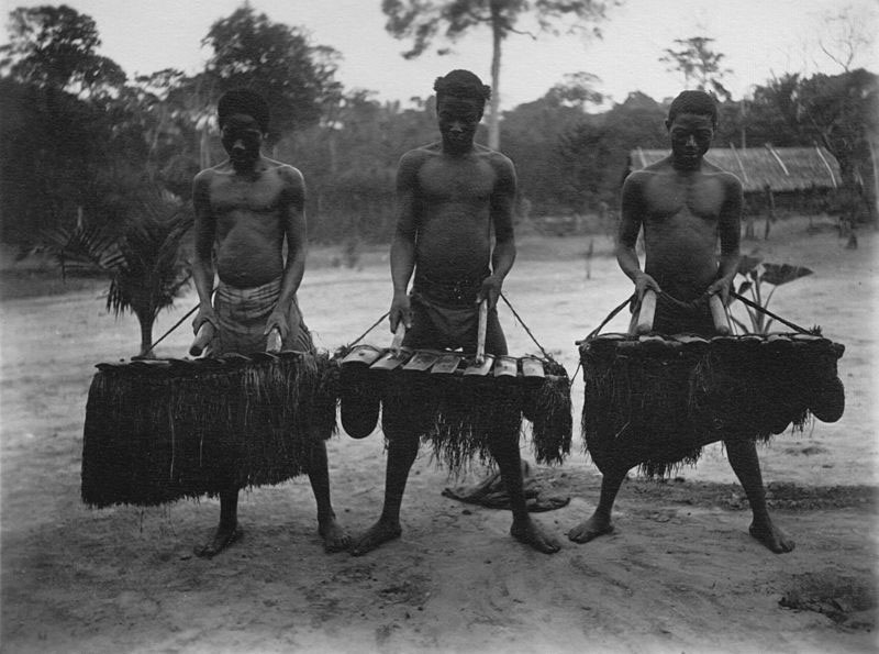 Xylophone, Cameroons (image)