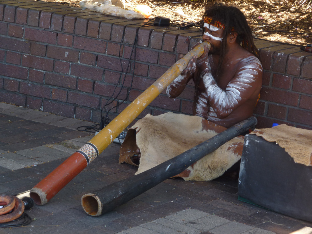 Didgeridoo (image)