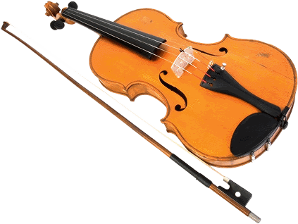 photograph of a viola