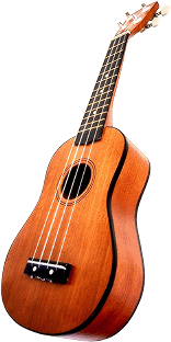 Acoustic Bass Guitar