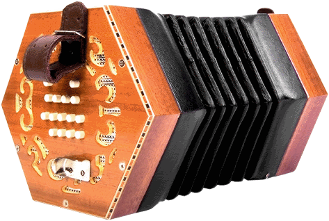 Concertina