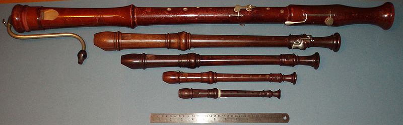 Recorders of different sizes (image)