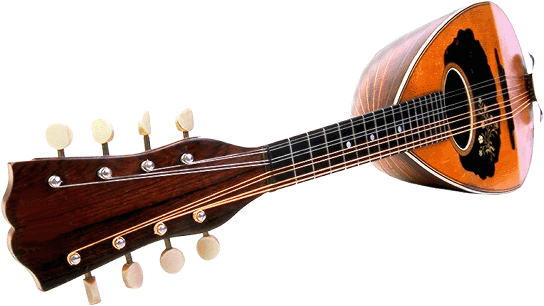 Mandolin