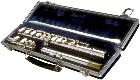 Orchestral flute in case