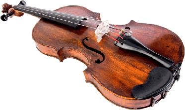 Violin